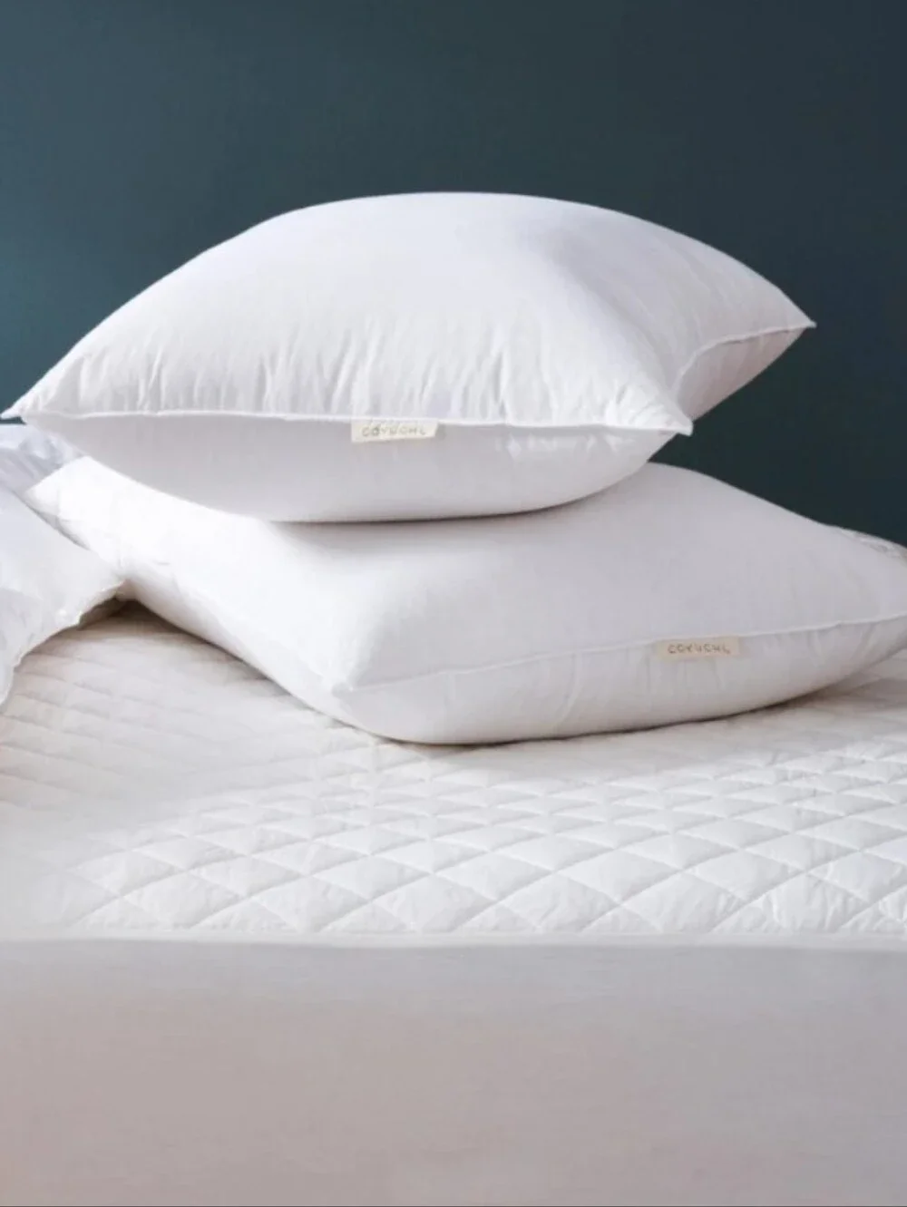 nwt $228 COYUCHI queen down pillow